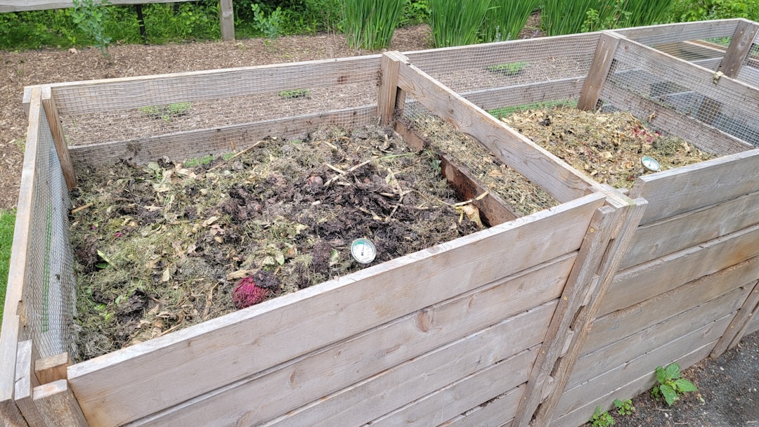 Cómo Compostar la Gallinaza para Nuestro Huerto: Lecciones de Errores y Alegrías en La Finca