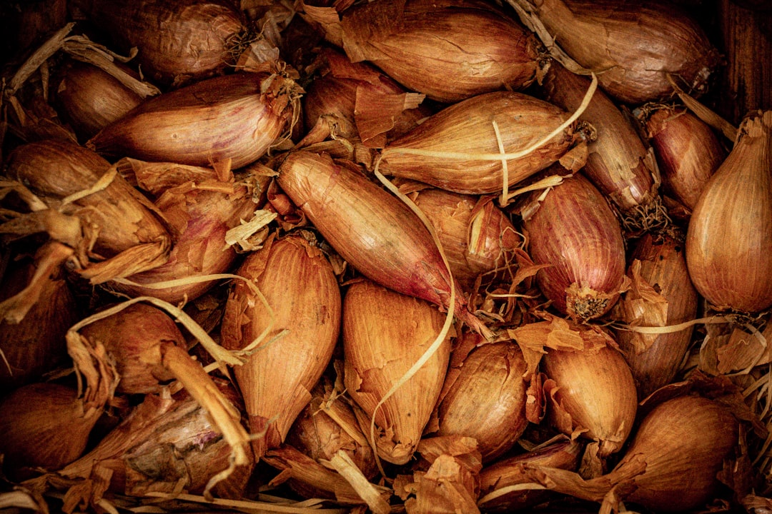 ¡Cómo desparasitar gallinas internamente con ajo y semillas de calabaza! Ahorra €50 al año