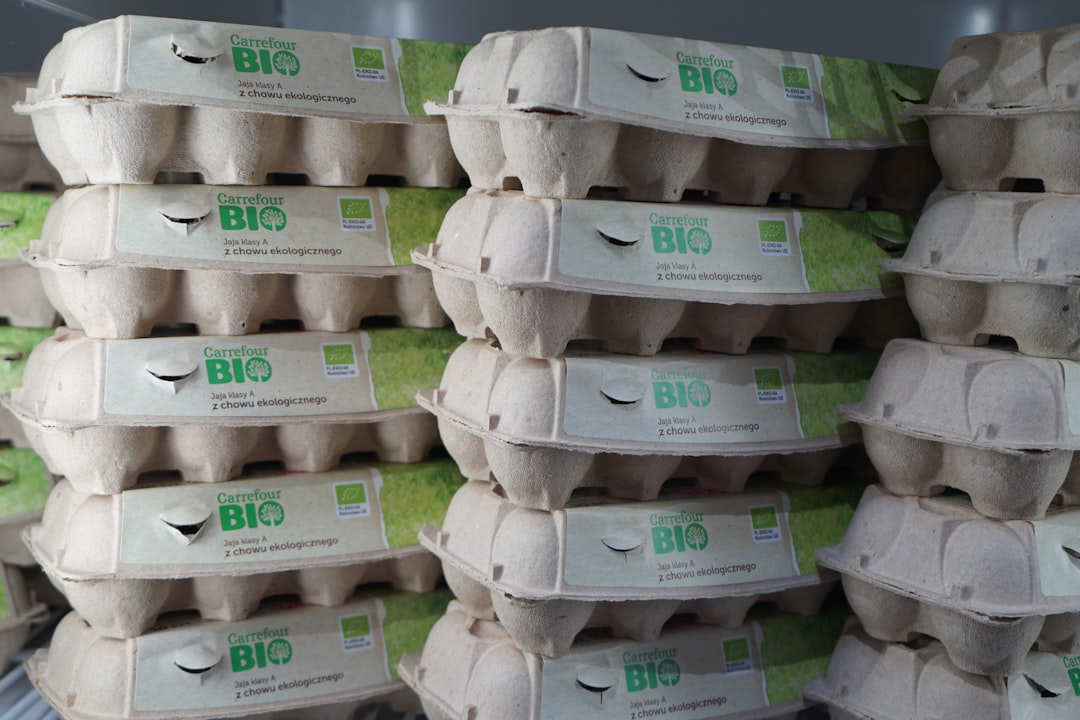 Ideas de Packaging Ecológico para Vender Tus Huevos: Guía Práctica de Carlos y Ana